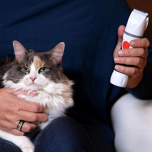 Машинка для стрижки домашних животных Paw Perfect аккумуляторная Триммер для груминга собак и кошек Машинка для стрижки домашних животных Paw Perfect аккумуляторная Триммер для груминга собак и кошек