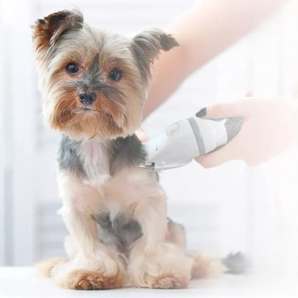 Машинка для стрижки домашних животных Paw Perfect аккумуляторная Триммер для груминга собак и кошек Машинка для стрижки домашних животных Paw Perfect аккумуляторная Триммер для груминга собак и кошек