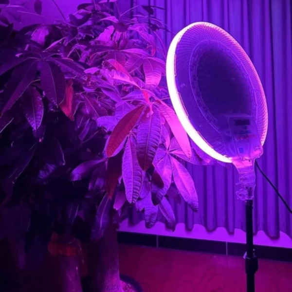Светодиодная круглая лампа RGB-LED Fill Light GS-330 цветная 33см с пультом и штативом 2м для студийной съёмки Светодиодная круглая лампа RGB-LED Fill Light GS-330 цветная 33см с пультом и штативом 2м для студийной съёмки