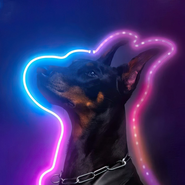 Светодиодная LED лента RGB 10 м Умная неоновая лента с синхронизацией музыки Гибкий неон