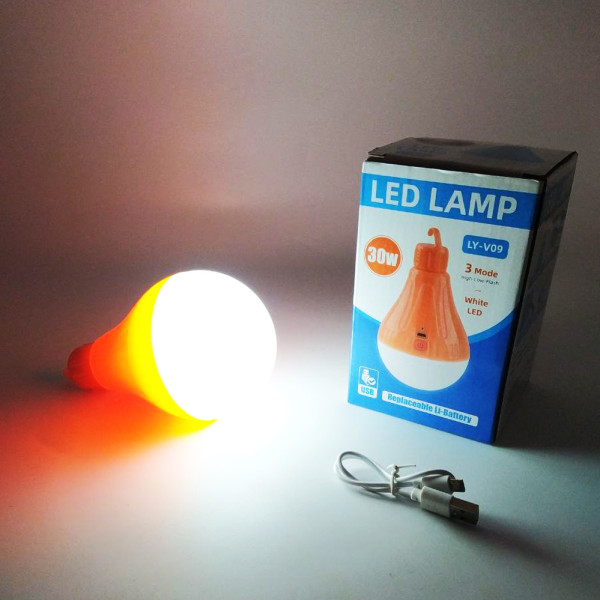 Акумуляторна лампа світлодіодна LY-V09 підвісний LED світильник з гачком для кемпінгу та будинку